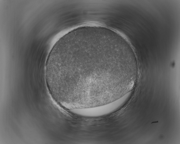 X0000114661335200912011126