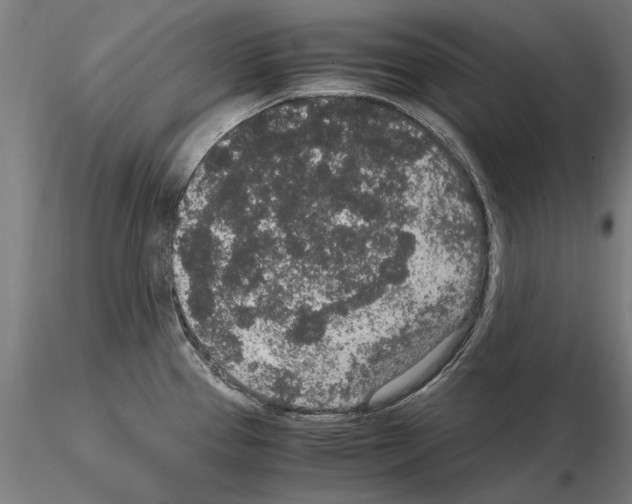 X0000114661337200912011126