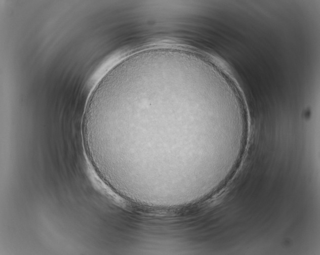 X0000114661338200912011126