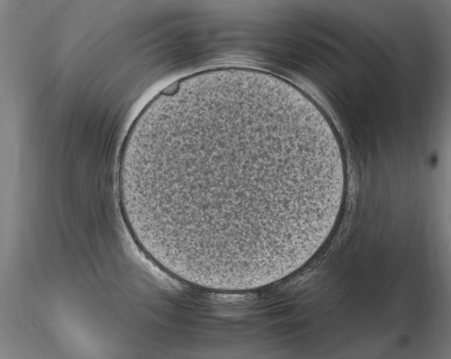 X0000114661339200912011126