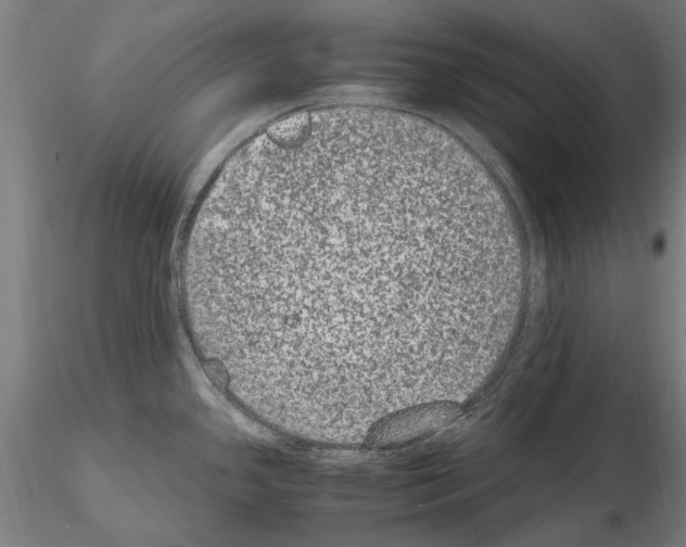 X0000114661341200912011126