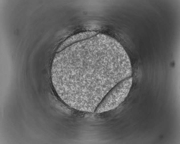 X0000114661345200912011125