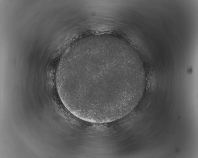 X0000114661346200912011125