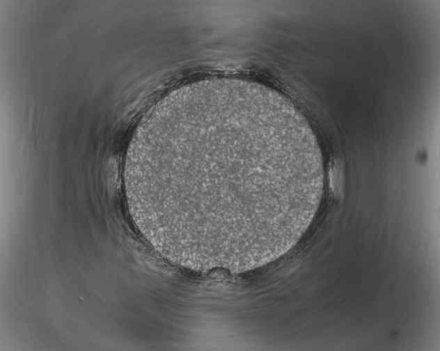 X0000114661347200912011125