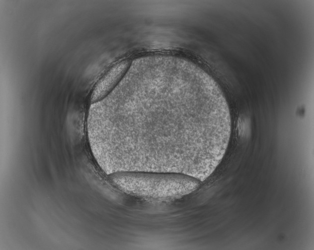 X0000114661348200912011125