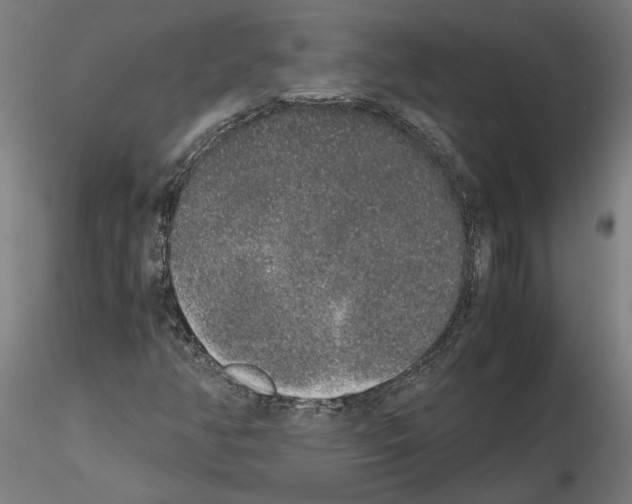 X0000114661350200912011125