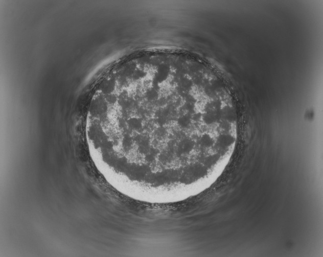 X0000114661351200912011125