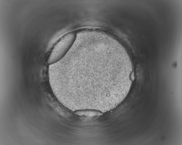 X0000114661352200912011125