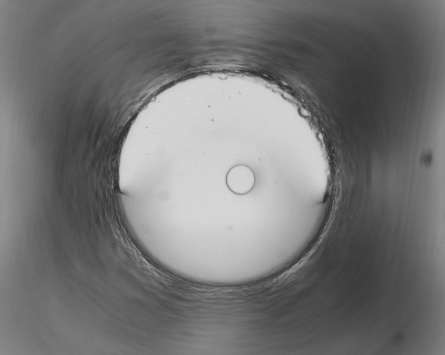 X0000114661353200912011125