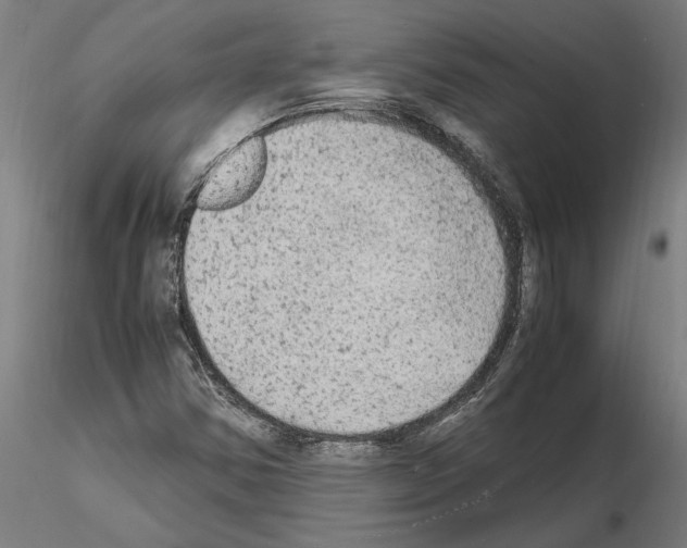 X0000114661354200912011125