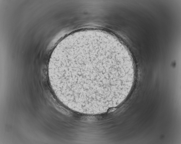 X0000114661355200912011125