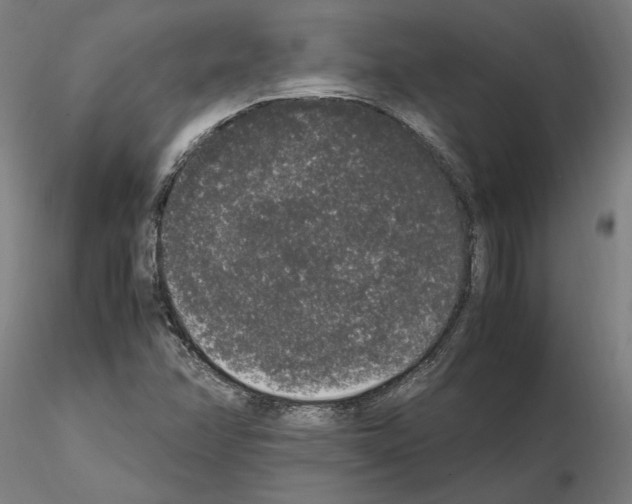 X0000114661358200912011125