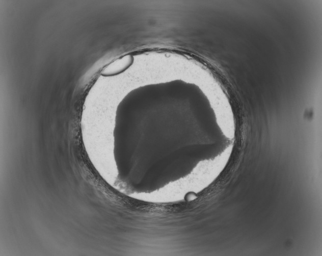 X0000114661359200912011125