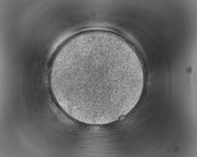 X0000114661360200912011125