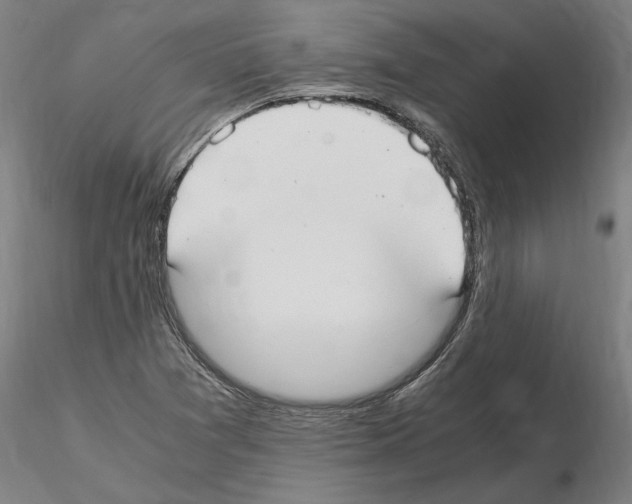 X0000114661361200912011125