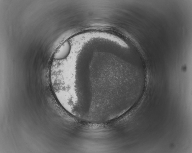 X0000114661362200912011125