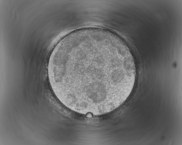 X0000114661363200912011125