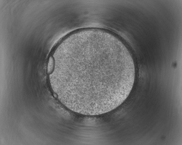 X0000114661364200912011125