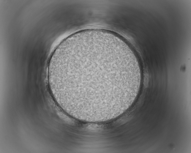 X0000114661366200912011125