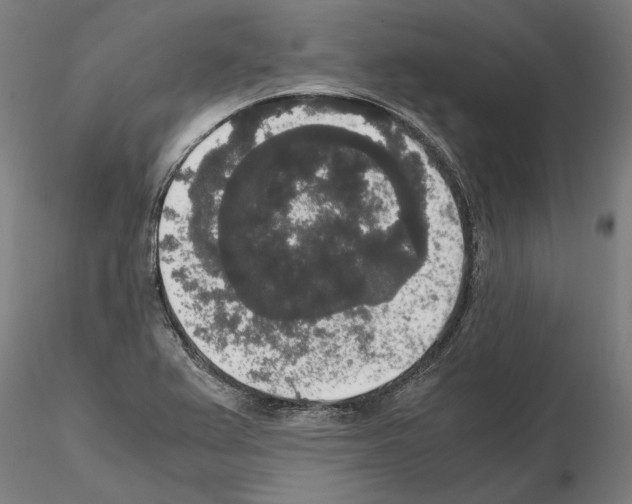 X0000114661367200912011125