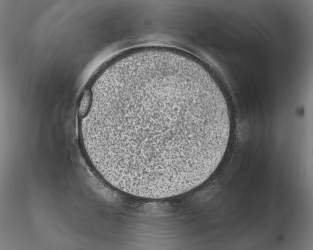 X0000114661368200912011125