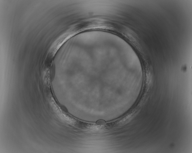 X0000114661369200912011125