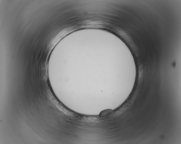 X0000114661370200912011125