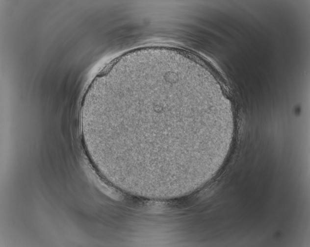 X0000114661371200912011125