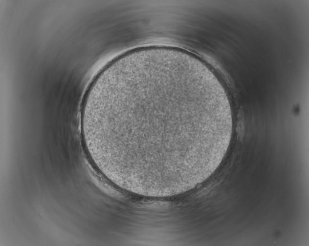 X0000114661372200912011125