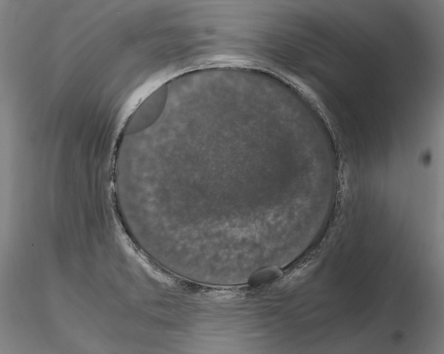 X0000114661373200912011125