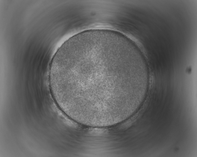 X0000114661374200912011125