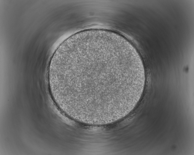 X0000114661375200912011125