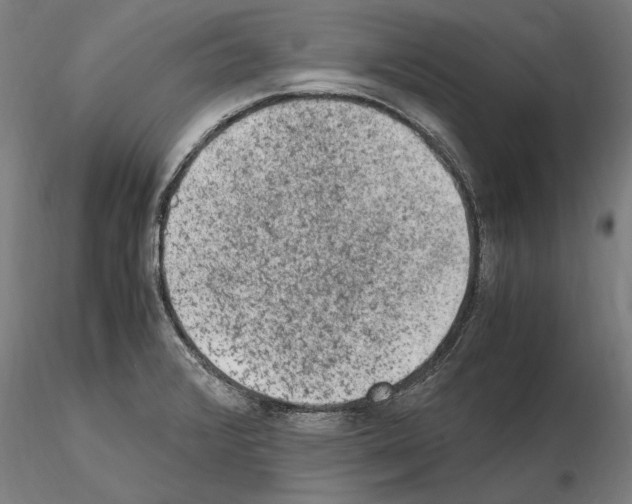 X0000114661376200912011125