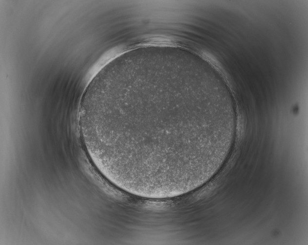 X0000114661378200912011125