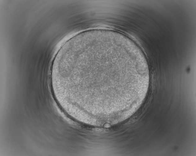 X0000114661379200912011125