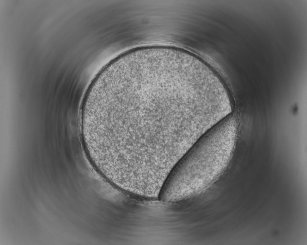 X0000114661380200912011125