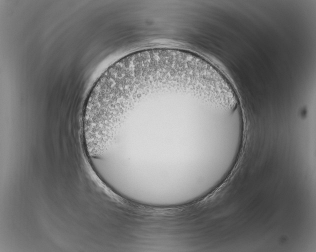 X0000114661381200912011125