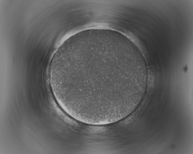 X0000114661382200912011125