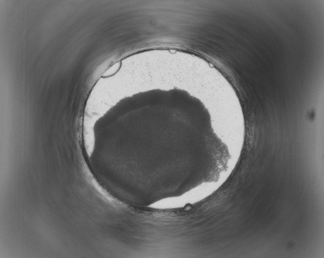 X0000114661383200912011125