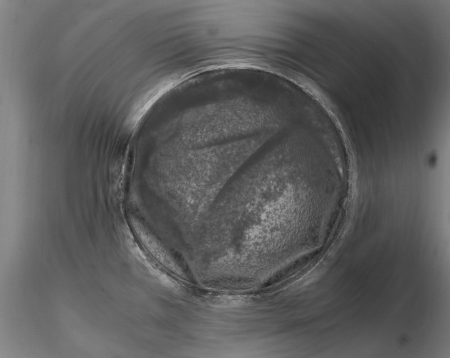 X0000114661385200912011125