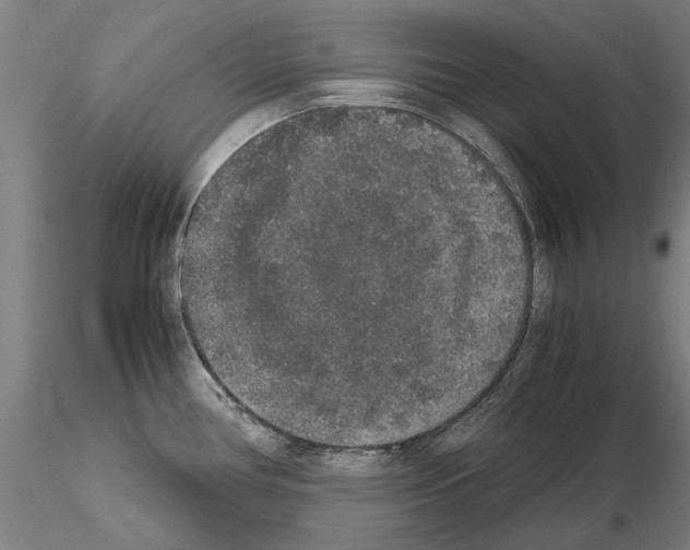 X0000114661386200912011125