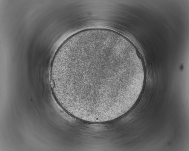 X0000114661388200912011125