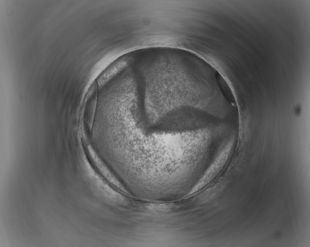 X0000114661389200912011125