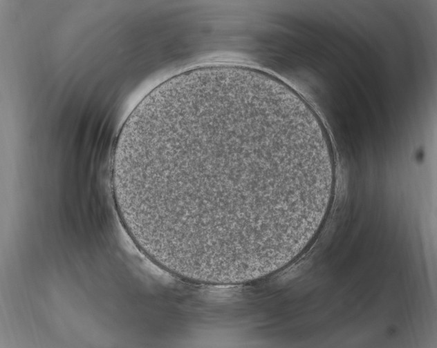 X0000114661390200912011125