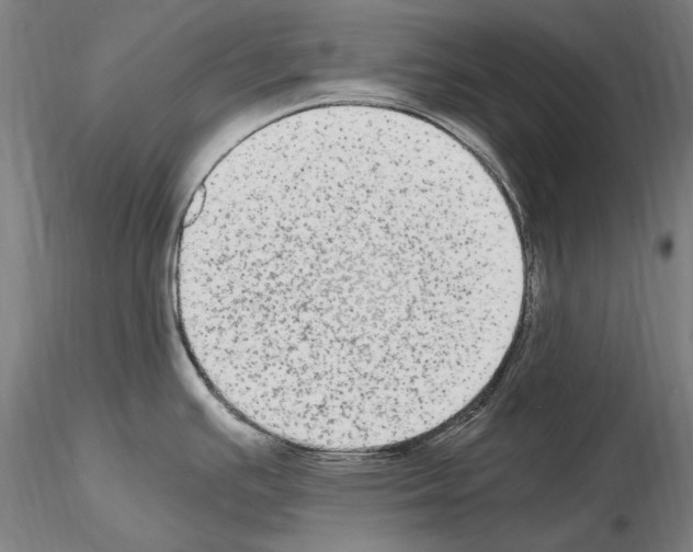 X0000114661391200912011125