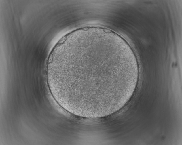 X0000114661392200912011125