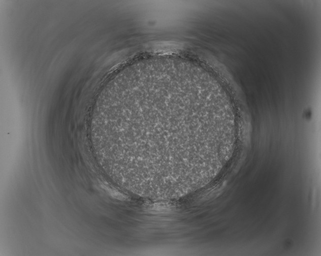 X0000114661393200912011124