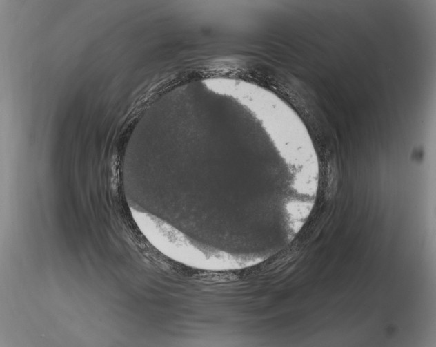 X0000114661394200912011124