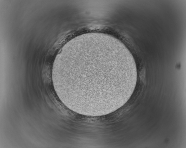 X0000114661396200912011124