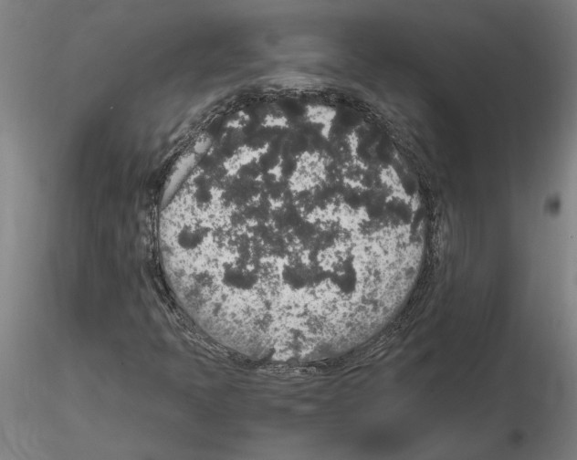 X0000114661397200912011124